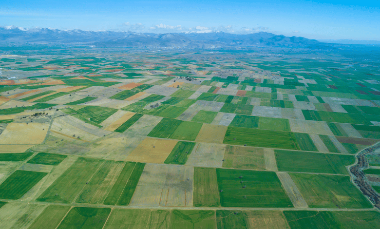 How Big Is A Parcel Of Land