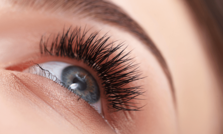 Start My Own Eyelash Brand 